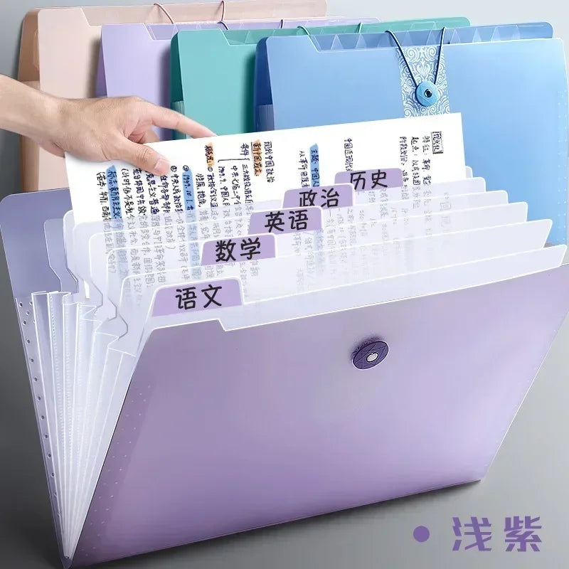 Portable Document Organizer for Office & Home - A4 12-Pocket Expanding File Folder